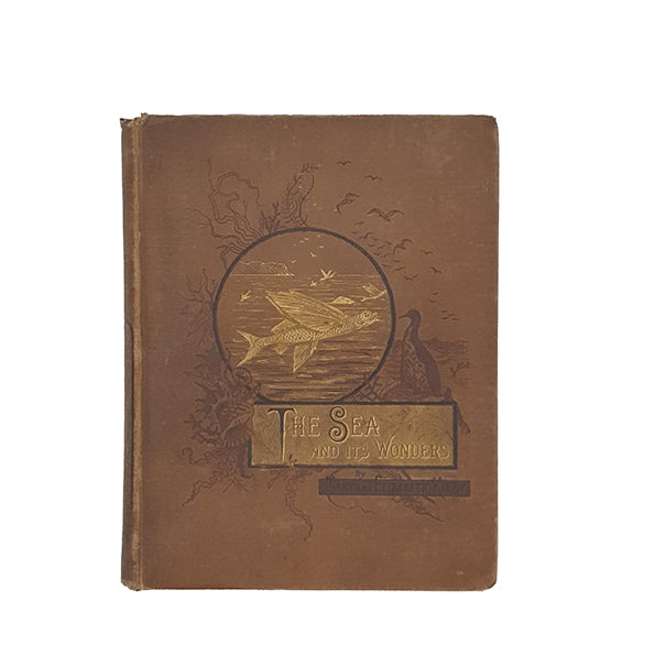 The Sea And Its Wonders by Mary and Elizabeth Kirby 1884