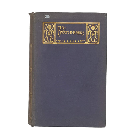 Charles Kingsley's The Water Babies - George Routledge c.1915