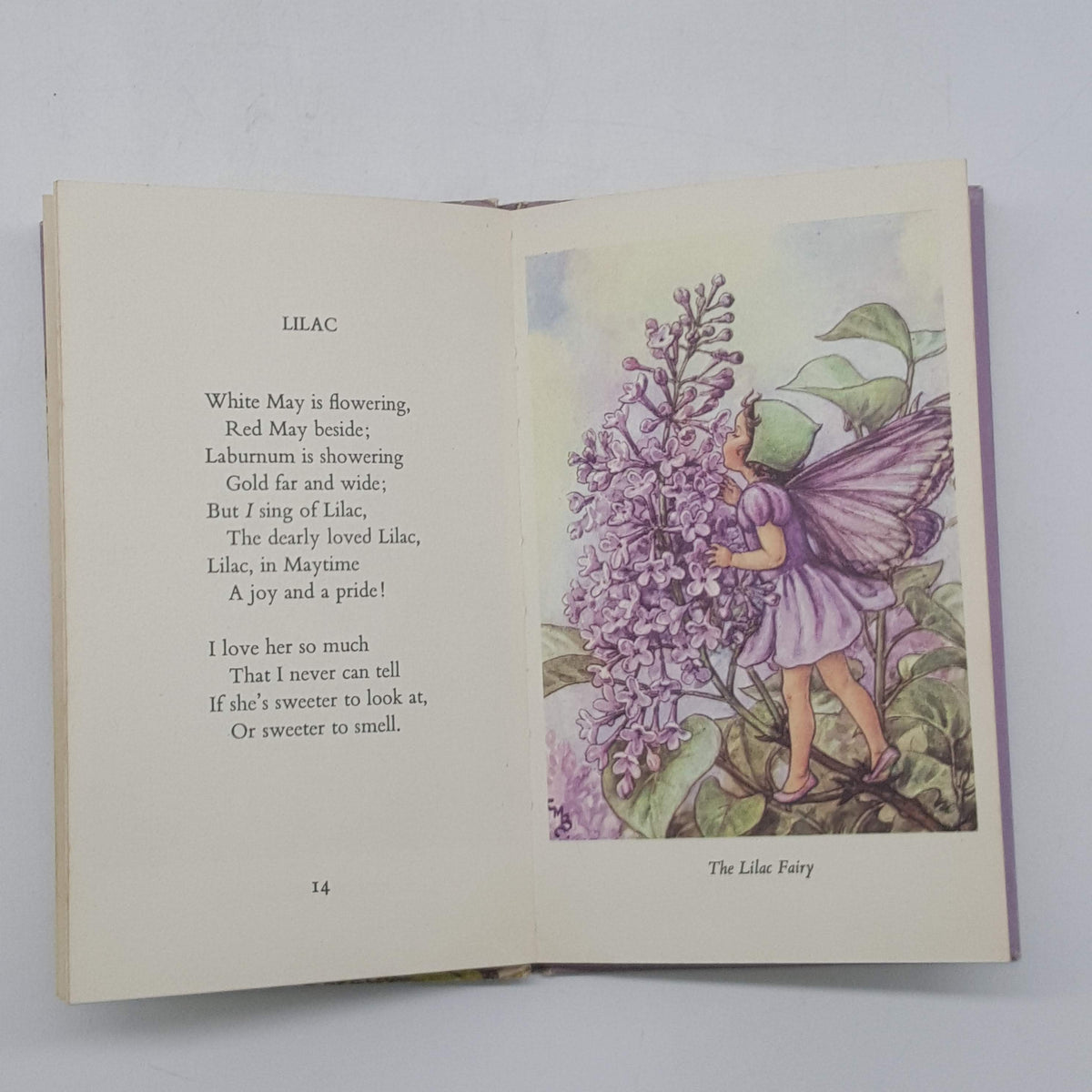 Fairies of The Trees by Cecily Mary Barker - Blackie