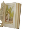 A Flower Fairy Alphabet by Cicely Mary Barker - Blackie & Son