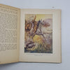 Anna Sewell's Black Beauty - Coker, 1933