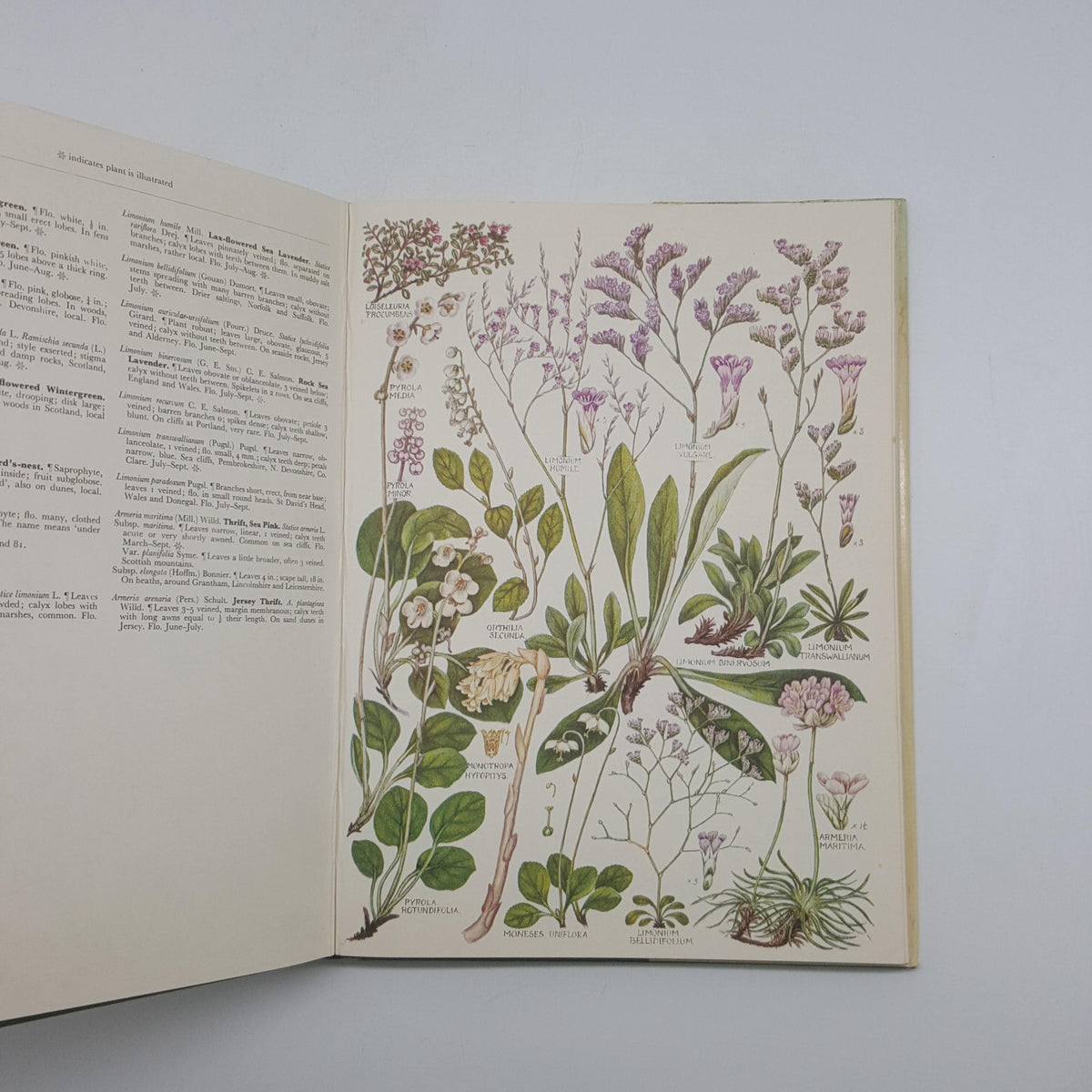 The Concise British Flora in Colour by W. Keble Martin - Ebury Press, 1967