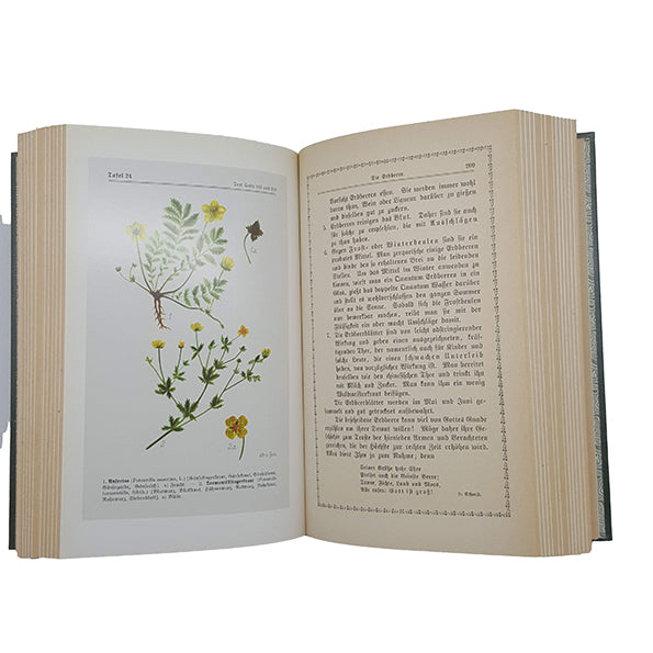 Kräutersegen von Emma Maria Zimmerer - German edition, 1987