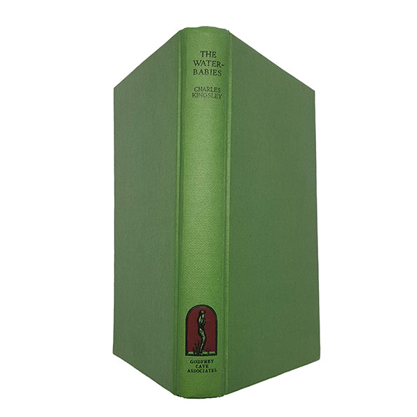 Charles Kingsley's The Water Babies - Godfrey, Macmillan, 1979