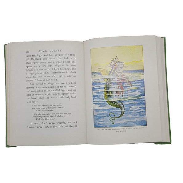 Charles Kingsley's The Water Babies - Godfrey, Macmillan, 1979