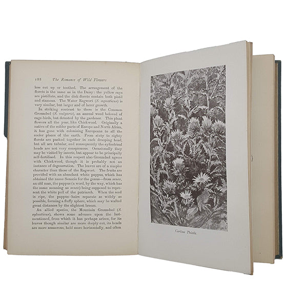 The Romance of Wild Flowers by Edward Step - Frederick Warne, 1901