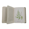 Wayside and Woodland Ferns by Edward Step - Warne, 1949