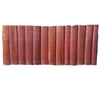 Charles Dickens Collected Works, 1891 (13 Books)