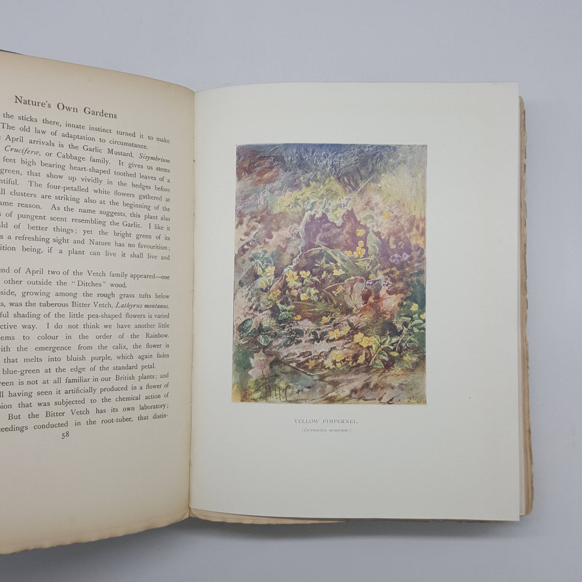 Nature's Own Gardens by Maud U. Clarke - J. M. Dent, 1907