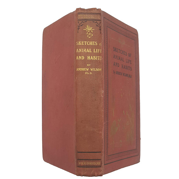 Sketches of Animal Life and Habits by Andrew Wilson, c.1900