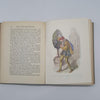 Tales From Shakespeare by Charles & Mary Lamb - Ward Lock, c.1935