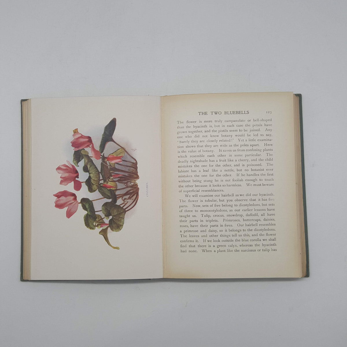 The Flowers and Their Story by H. Friend - Epworth Press, 1923