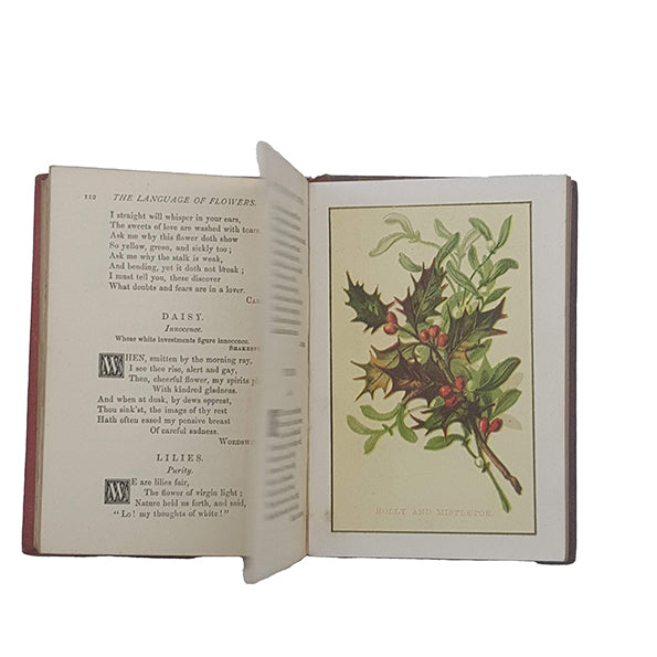 The Language and Sentiment of Flowers - Miniature Book, Frederick Warne, c.1890