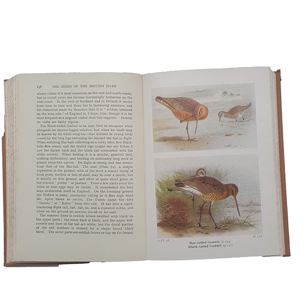 The Birds of the British Isles and their Eggs, Series Two by T. A. Coward - Warne, 1962