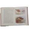 The Birds of the British Isles and their Eggs, Series Two by T. A. Coward - Warne, 1962
