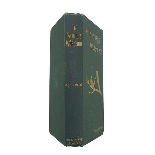 In Nature's Workshop by Grant Allen - George Newnes, c1901