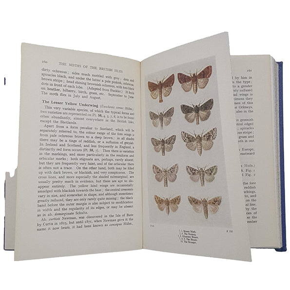 The Moths of the British Isles I&amp; II by Richard South, 1972-3