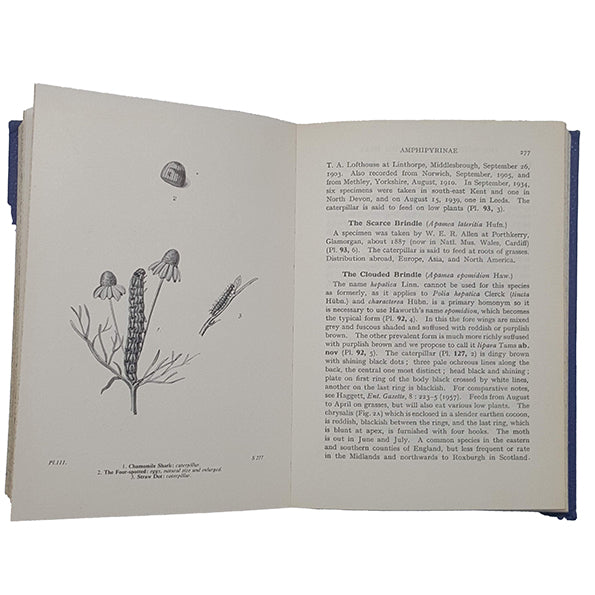 The Moths of the British Isles I&amp; II by Richard South, 1972-3