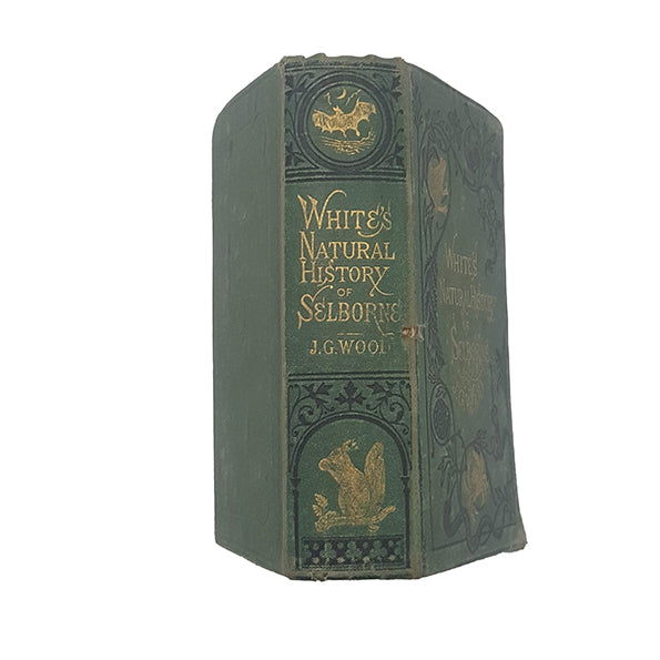 The Natural History of Selborne by Gilbert White - Routledge, c.1880