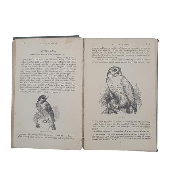 The Natural History of Selborne by Gilbert White - Routledge, c.1880