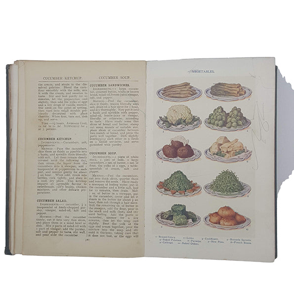 Mrs Beeton’s Every Day Cookery - Ward Lock, c.1912 (Green)