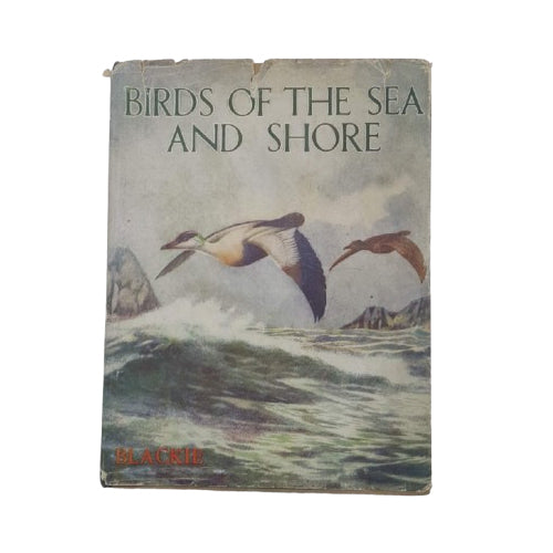 Birds of the Sea and Shore by Robert Aitchen and Gladys Davidson