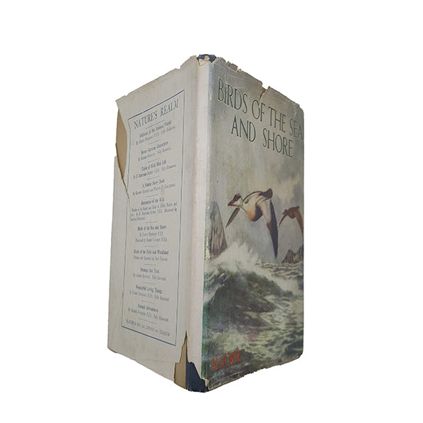 Birds of the Sea and Shore by Robert Aitchen and Gladys Davidson