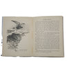 Birds of the Sea and Shore by Robert Aitchen and Gladys Davidson