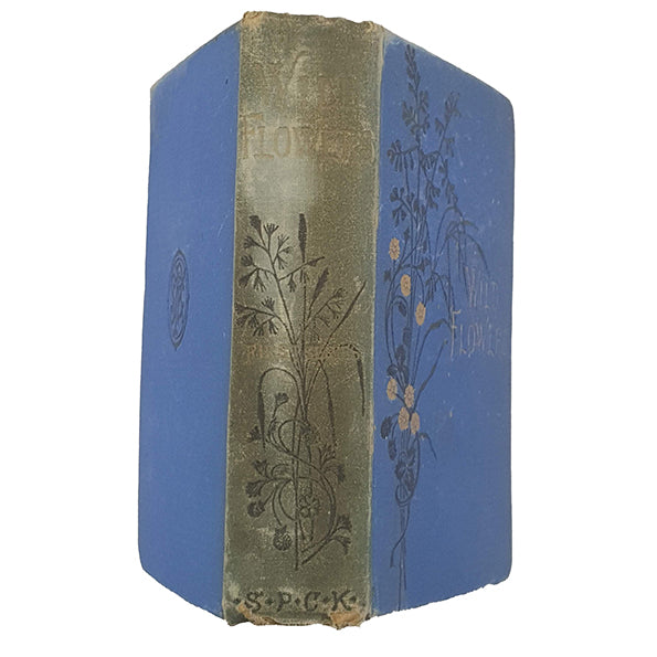 Wild Flowers, Volume I by Anne Pratt - SFPCK, 1898