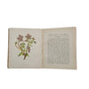Wild Flowers, Volume I by Anne Pratt - SFPCK, 1898