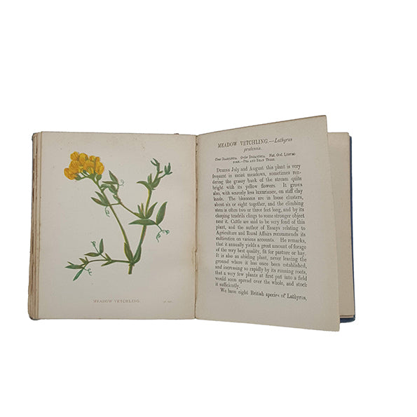Wild Flowers, Volume I by Anne Pratt - SFPCK, 1898
