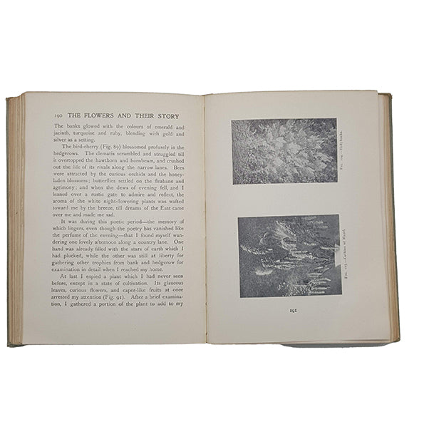 The Flowers and Their Story by H. Friend - Epworth Press
