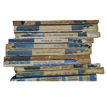 Well-Loved Books by the Foot: Blue Penguin Biographies