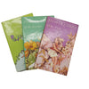 Cicely Mary Barker's Flower Fairies of the... Spring, Trees, Garden (3 Books)