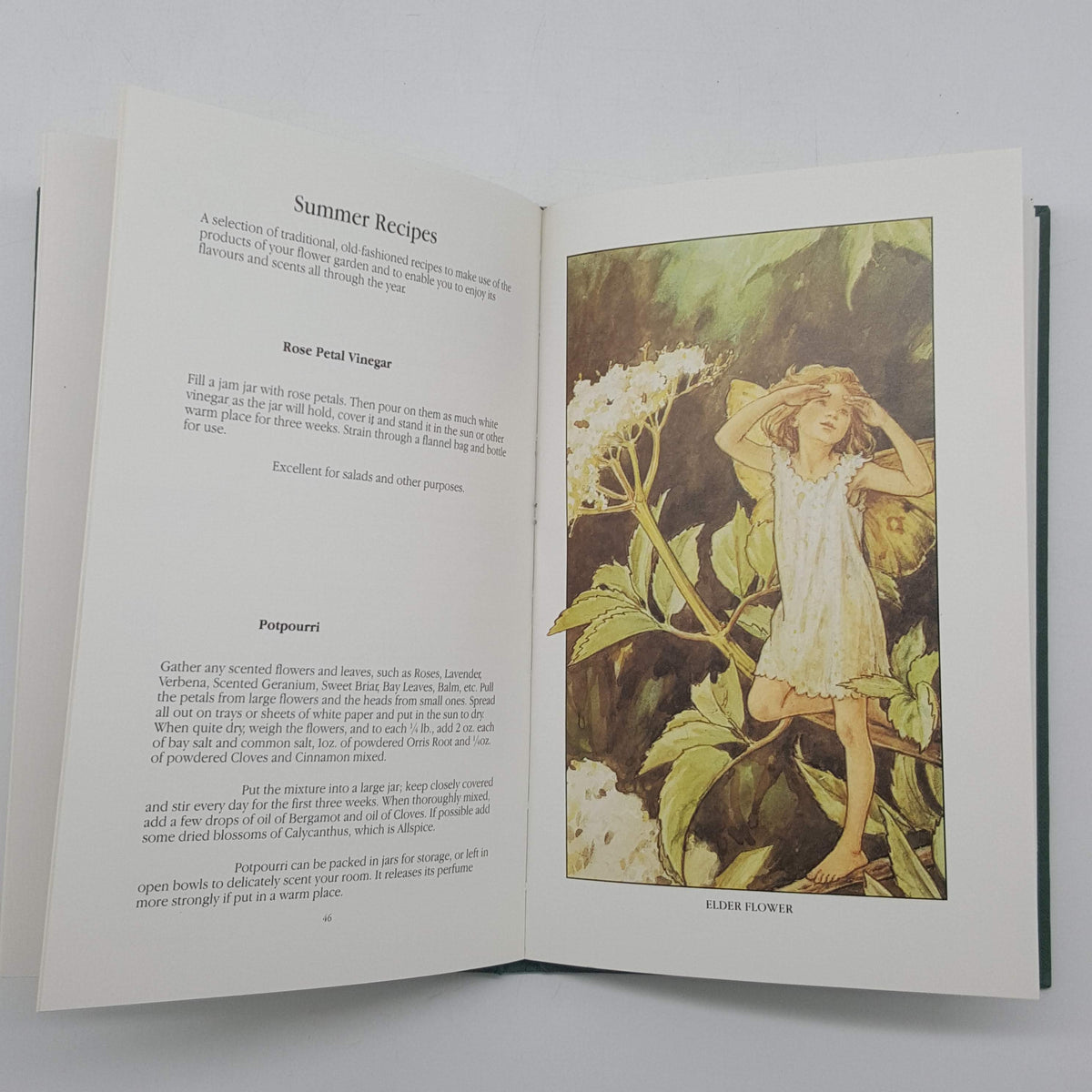 The Flower Fairies Gardening Year with Illustrations by Cicely Mary Barker - Blackie, 1983