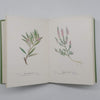Wayside and Woodland Blossoms Series II by Edward Step - Warne & Co., 1963