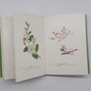 Wayside and Woodland Blossoms Series II by Edward Step - Warne & Co., 1963