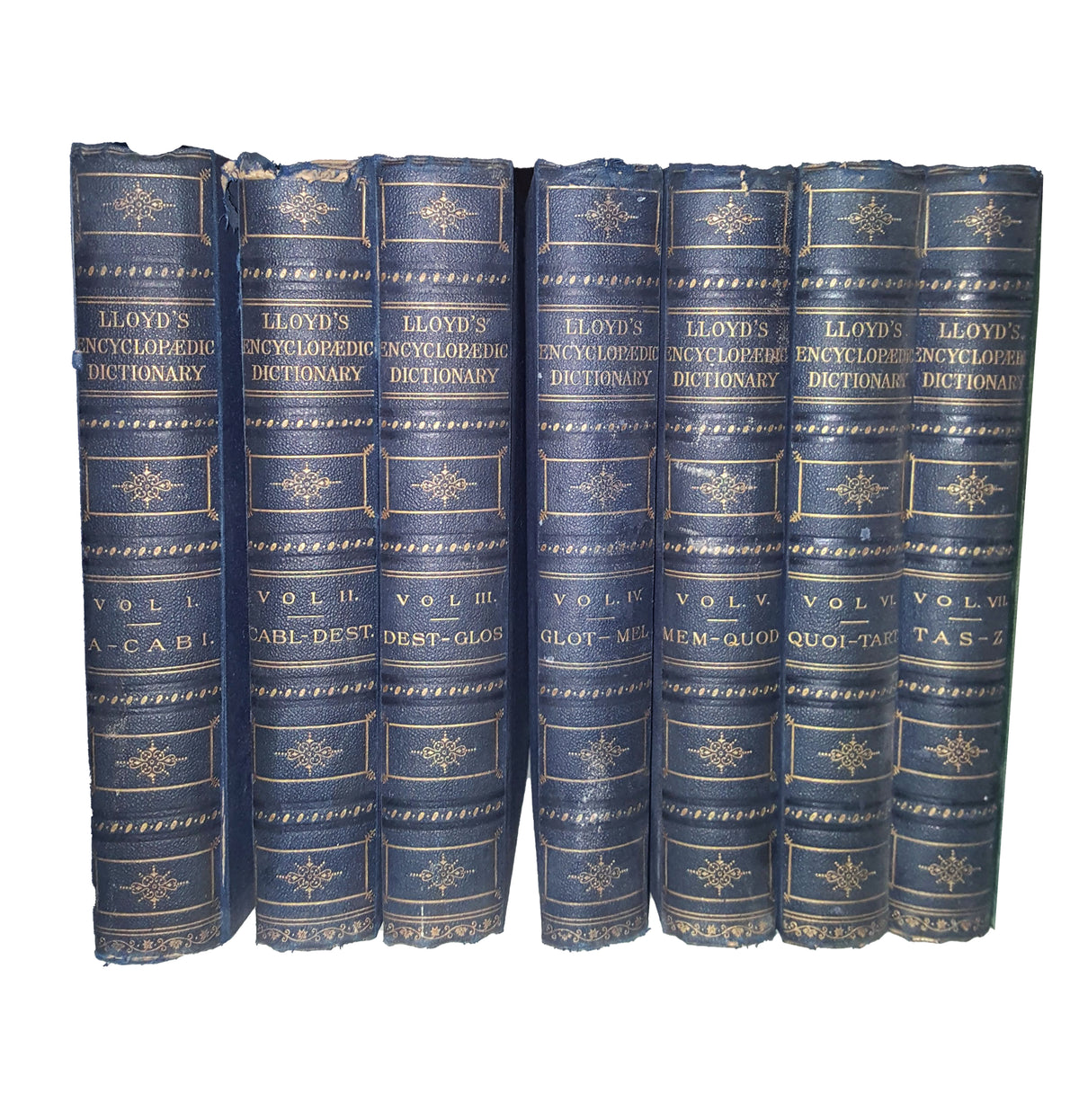 Lloyds Encyclopaedic Dictionary Complete Volumes 1-7 (7 Books)