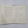 Little Christmas by Agnes Sligh Turnbull - Collins, 1966