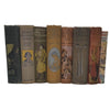 Angela Brazil Collected Works - Blackie, (8 Books)