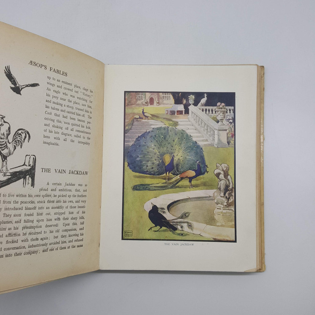 Aesop's Fables illustrated by Edwin Noble - Raphael Tuck