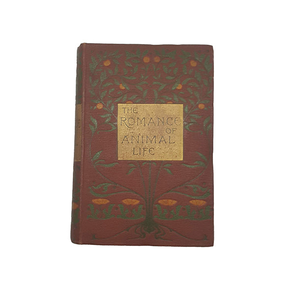 The Romance of Animal Life by The Rev. J. G. Wood - Isbister and Company, c.1894