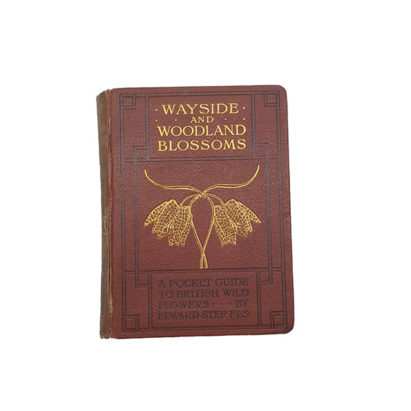 Wayside and Woodland Blossoms Series II by Edward Step - Warne &amp; Co.