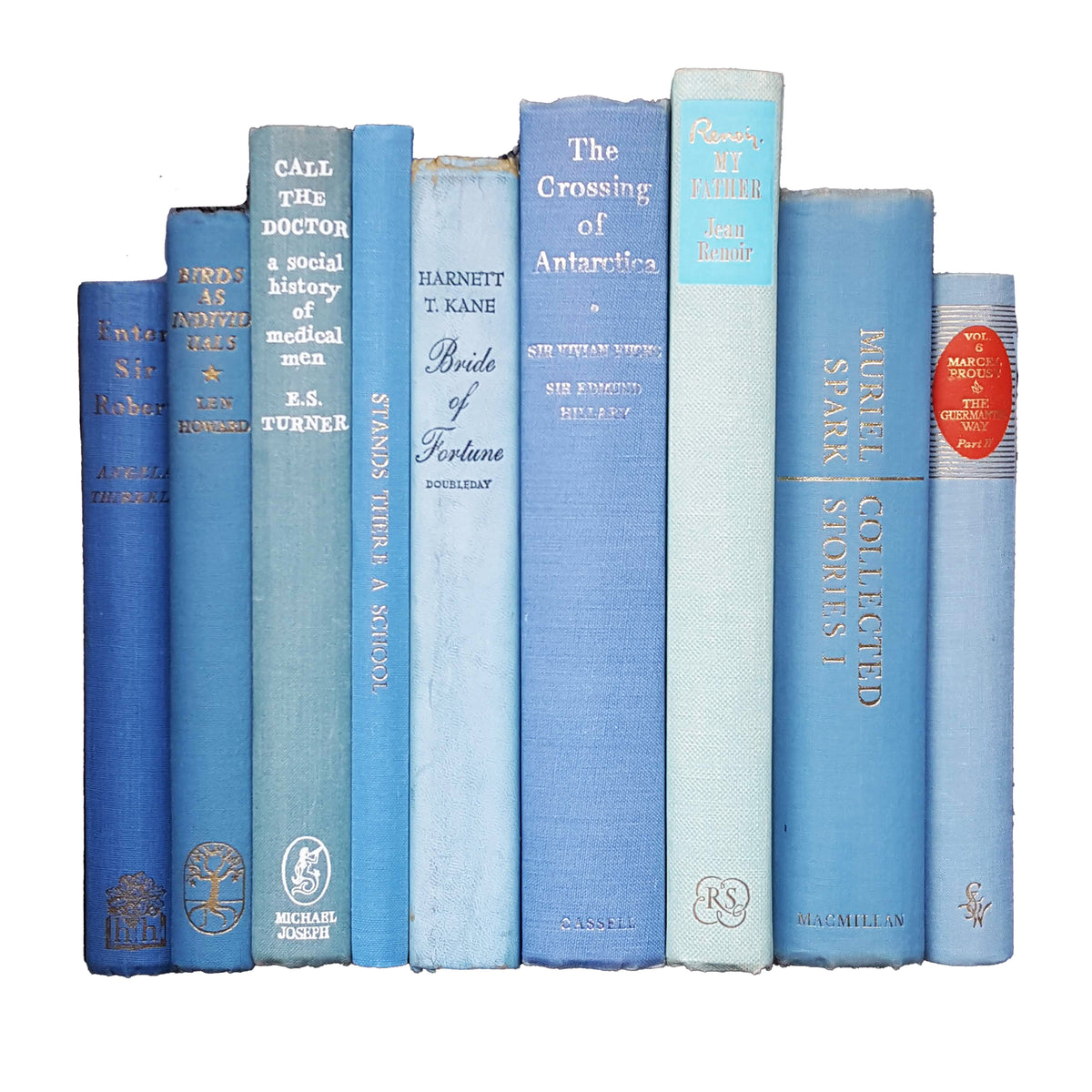 Books By The Foot: Vintage Pale Blue