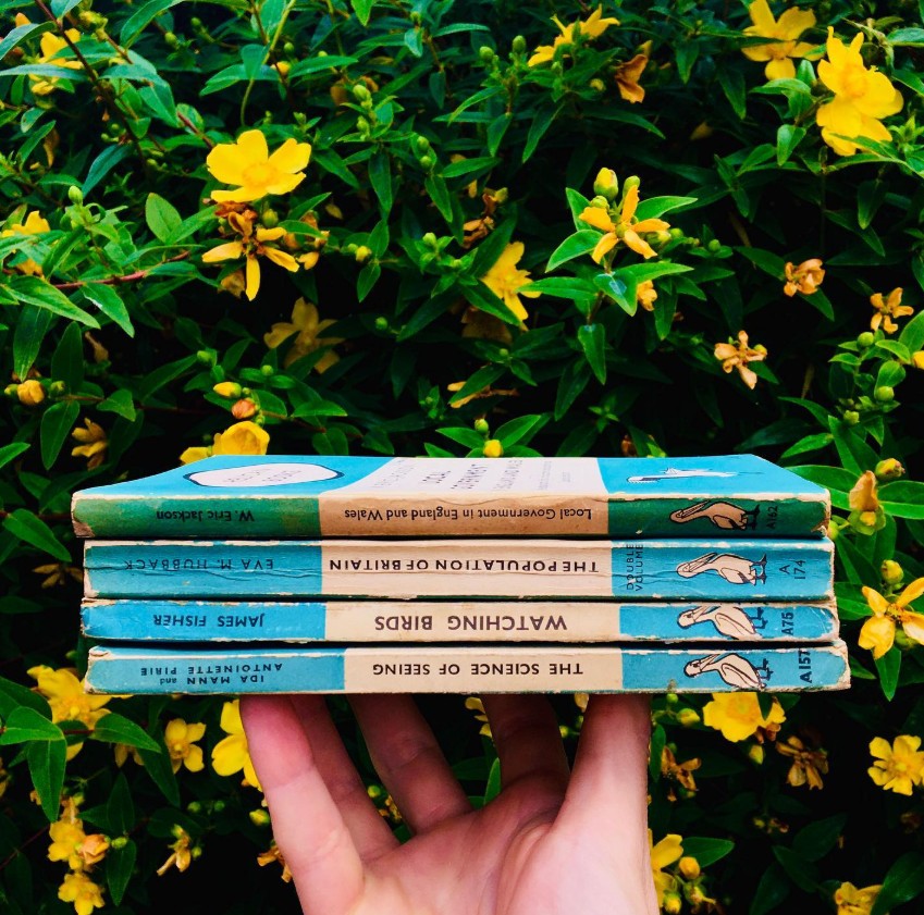 Books by the Foot: Vintage Pelican Paperbacks w/ Horizontal Stripe