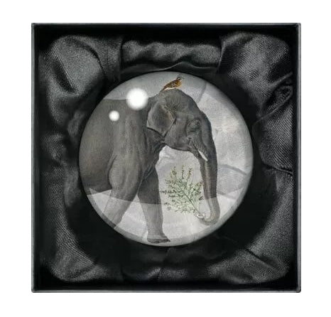 Nature Stationery Set - Notebook, Sketchbook, Paperweight