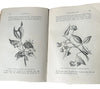 Flowers of the Field by C. A. Johns - SPCK, 1894