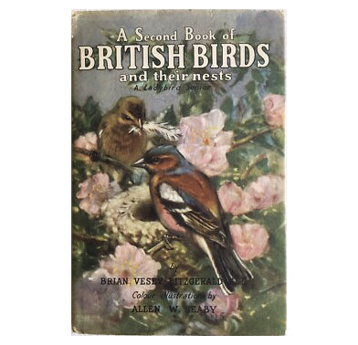 Ladybird 536 Nature: A Second Book of British Birds