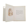 Beatrix Potter's The Tale of Peter Rabbit - Beige