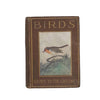 Birds Shown to the Children by J. A. Henderson